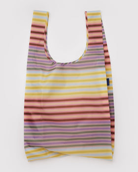 Big Baggu - Gradient Stripe Multi - Everyday Pick